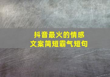 抖音最火的情感文案简短霸气短句