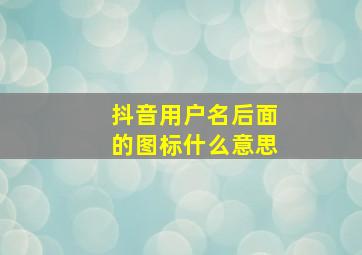 抖音用户名后面的图标什么意思