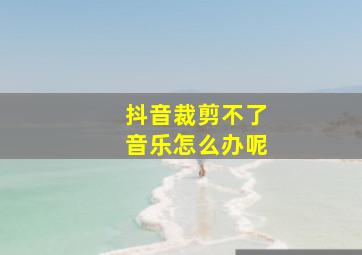 抖音裁剪不了音乐怎么办呢