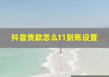 抖音货款怎么t1到账设置