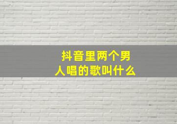 抖音里两个男人唱的歌叫什么