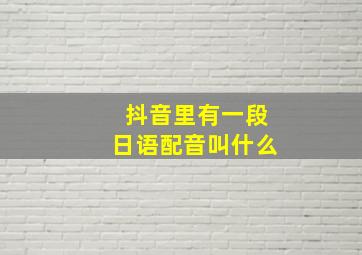 抖音里有一段日语配音叫什么