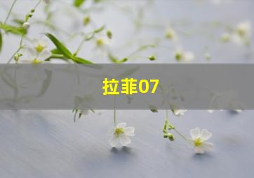 拉菲07