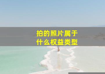 拍的照片属于什么权益类型