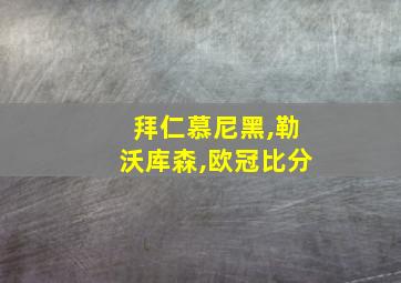 拜仁慕尼黑,勒沃库森,欧冠比分