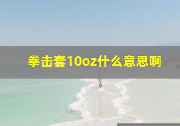 拳击套10oz什么意思啊