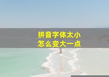 拼音字体太小怎么变大一点