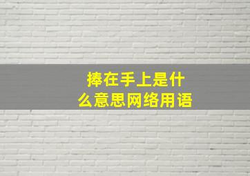 捧在手上是什么意思网络用语