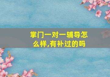 掌门一对一辅导怎么样,有补过的吗