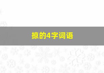 掠的4字词语