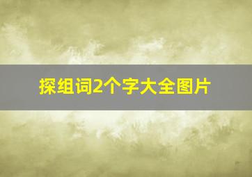 探组词2个字大全图片