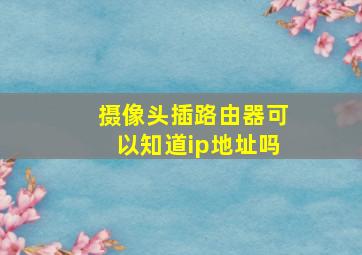 摄像头插路由器可以知道ip地址吗