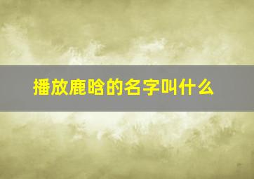 播放鹿晗的名字叫什么