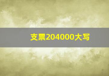 支票204000大写