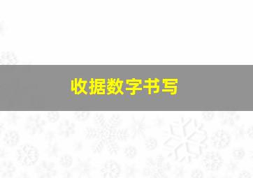 收据数字书写