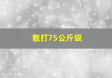 散打75公斤级