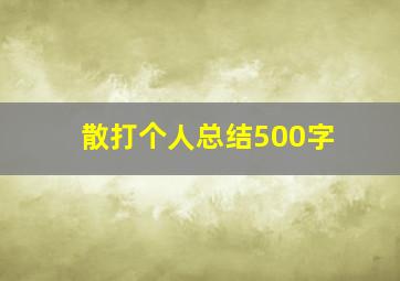 散打个人总结500字