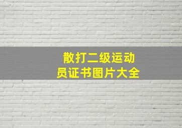 散打二级运动员证书图片大全