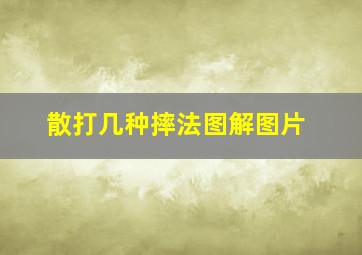 散打几种摔法图解图片