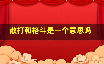 散打和格斗是一个意思吗