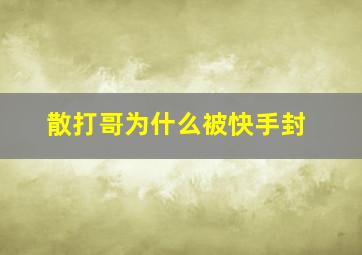 散打哥为什么被快手封