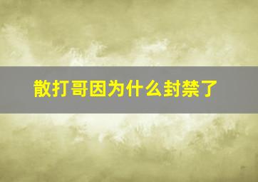 散打哥因为什么封禁了