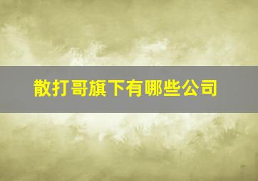 散打哥旗下有哪些公司