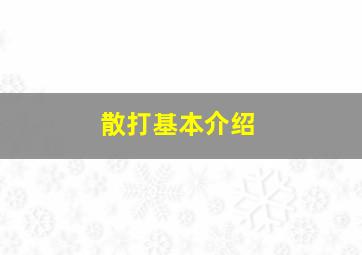 散打基本介绍