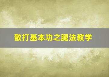 散打基本功之腿法教学