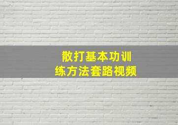 散打基本功训练方法套路视频