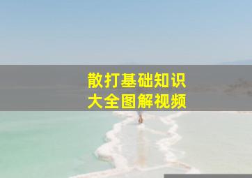 散打基础知识大全图解视频