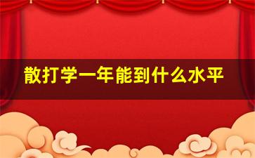 散打学一年能到什么水平