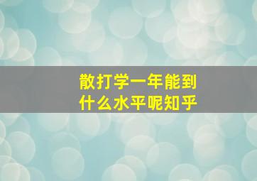 散打学一年能到什么水平呢知乎