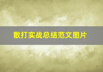 散打实战总结范文图片