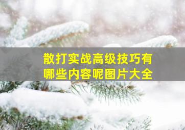 散打实战高级技巧有哪些内容呢图片大全