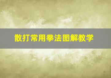 散打常用拳法图解教学