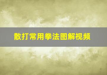 散打常用拳法图解视频