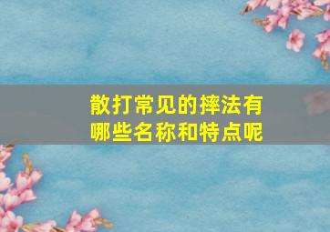 散打常见的摔法有哪些名称和特点呢