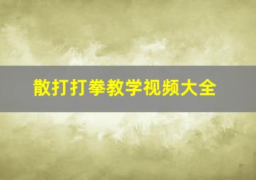 散打打拳教学视频大全