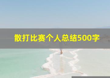 散打比赛个人总结500字