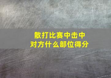 散打比赛中击中对方什么部位得分