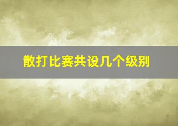 散打比赛共设几个级别