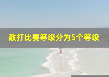 散打比赛等级分为5个等级