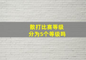 散打比赛等级分为5个等级吗