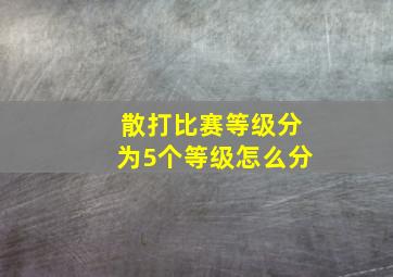 散打比赛等级分为5个等级怎么分