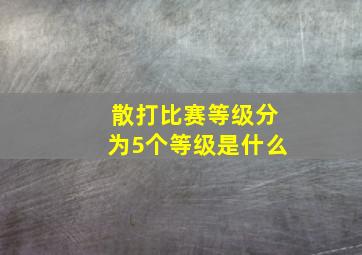 散打比赛等级分为5个等级是什么