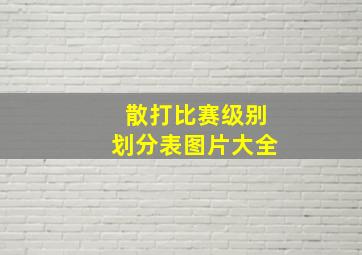 散打比赛级别划分表图片大全