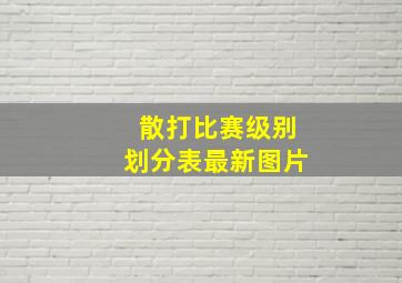 散打比赛级别划分表最新图片