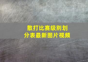 散打比赛级别划分表最新图片视频