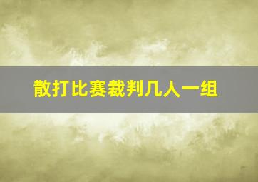 散打比赛裁判几人一组